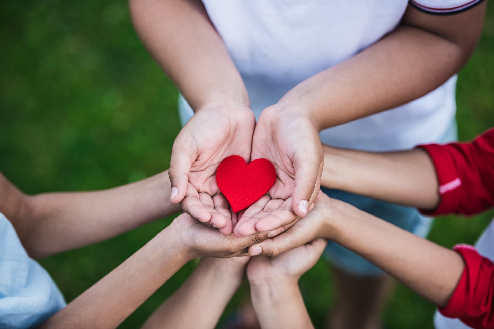 Kindness and care — BrightPVT NDIS values
